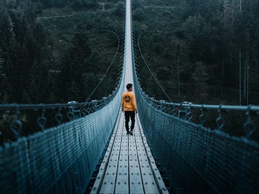 bridge man loneliness cable bridge nature PNG graphics with clear alpha channel