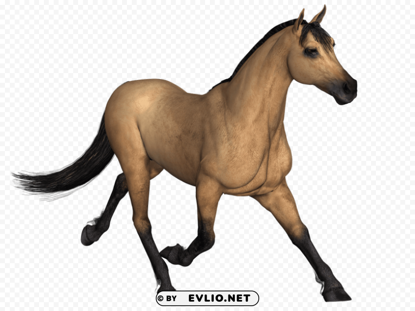 brown horse running Isolated Element in HighResolution Transparent PNG