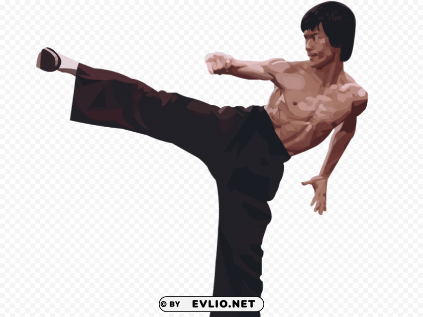 bruce lee PNG images without subscription