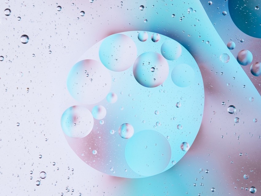 bubbles circles macro bright Transparent Background Isolated PNG Design Element 4k wallpaper