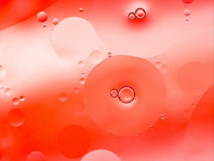 bubbles liquid macro circles Isolated Object with Transparent Background PNG