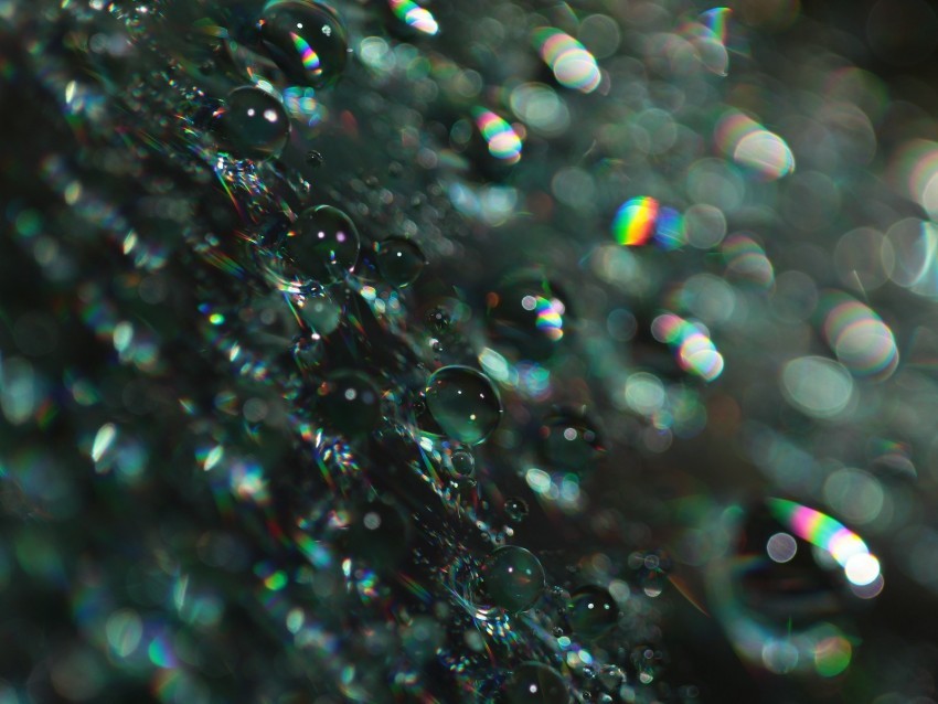 bubbles shine macro glare bokeh Isolated Element with Clear Background PNG