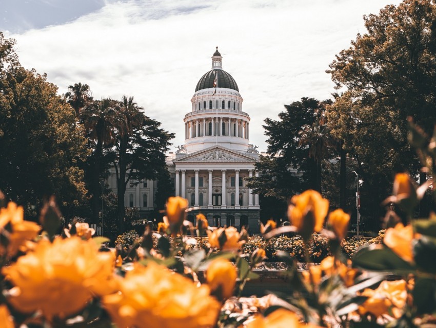 building architecture palace dome trees flowers Isolated Subject in HighQuality Transparent PNG