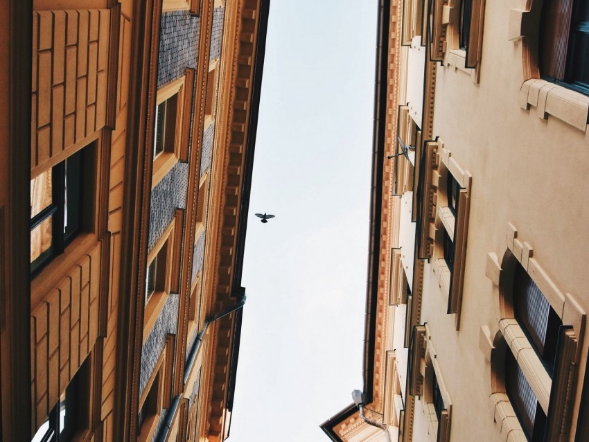 buildings sky bird facades architecture PNG images with transparent elements pack