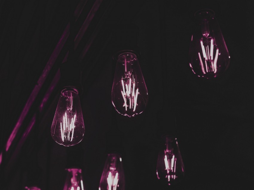bulbs lamps light purple Isolated Element on HighQuality PNG
