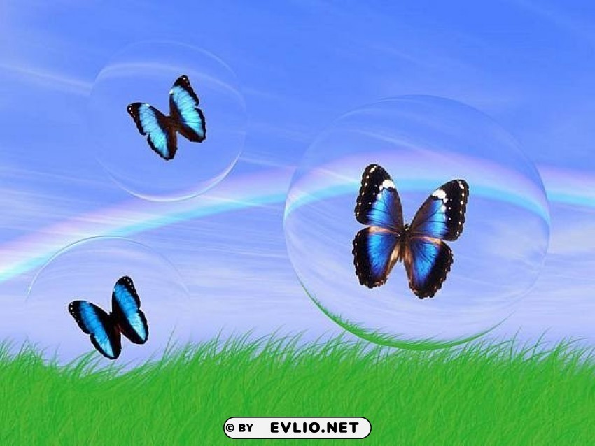 butterflies-art Transparent PNG Artwork with Isolated Subject