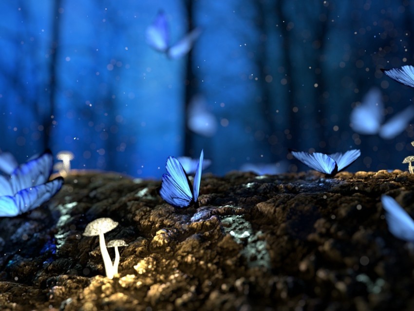 butterflies mushrooms forest fantasy blue Isolated Character in Transparent Background PNG 4k wallpaper