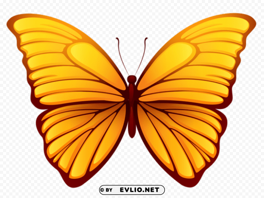 Butterfly Isolated Object With Transparent Background In PNG
