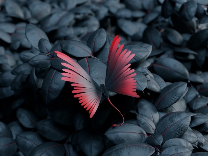 butterfly leaves wings contrast PNG images with clear backgrounds 4k wallpaper