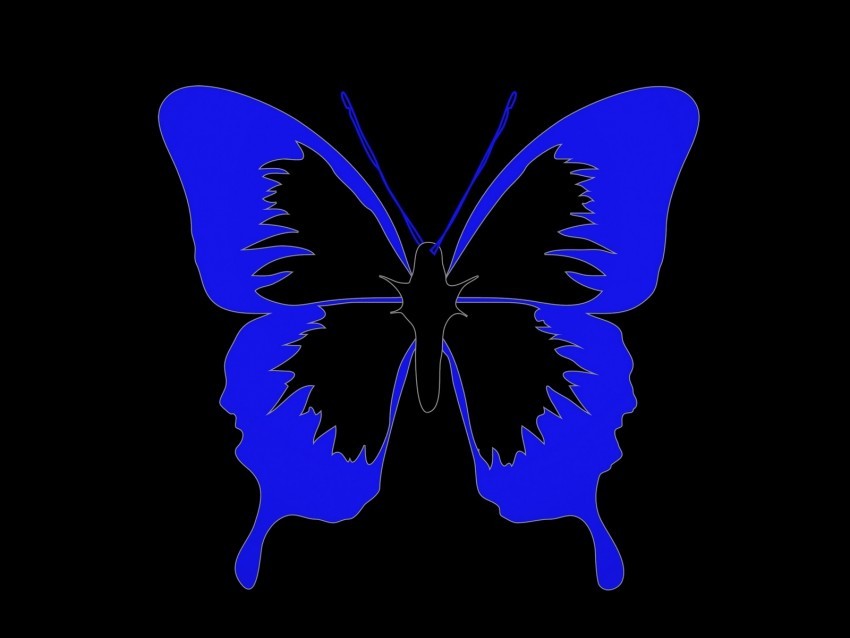 butterfly minimalism black blue Transparent Background Isolation in PNG Format 4k wallpaper