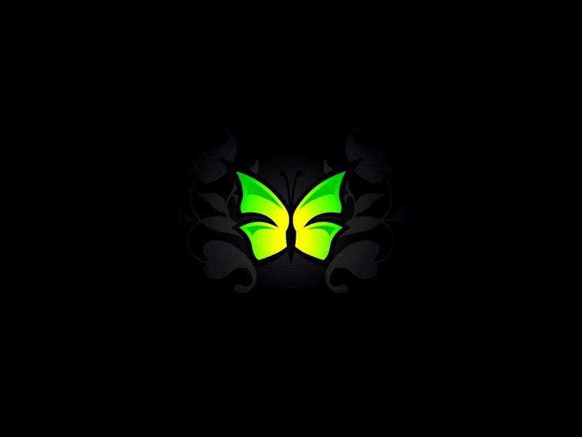 butterfly patterns light green vector Isolated Graphic on HighResolution Transparent PNG
