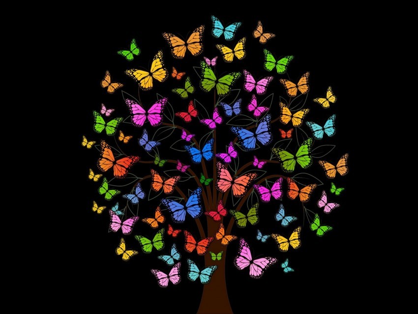 butterfly tree patterns colorful PNG graphics with alpha channel pack