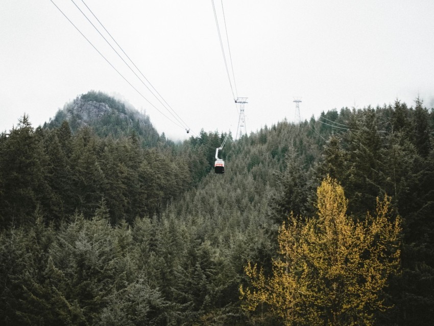 cableway forest trees mountains height High-resolution transparent PNG images comprehensive assortment