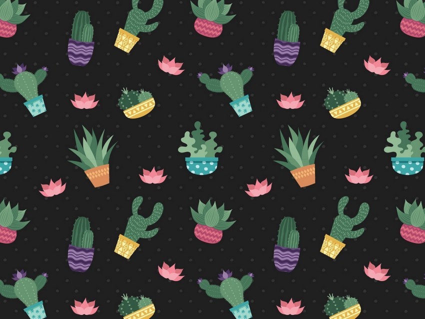 cacti flowers pattern art PNG images with transparent elements 4k wallpaper