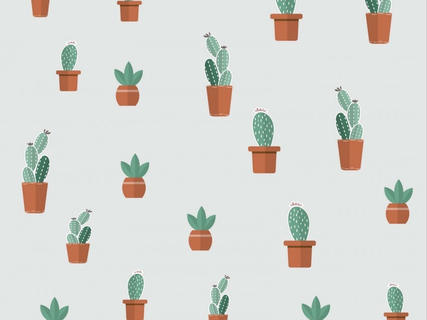 cacti succulents art patterns PNG transparent images for social media 4k wallpaper