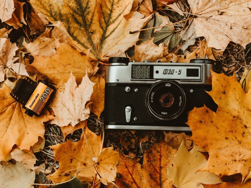 camera autumn foliage retro vintage photographic film Transparent PNG Isolated Element with Clarity