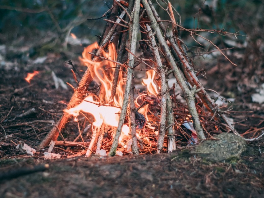 campfire branches fire camping Clear Background PNG Isolated Illustration