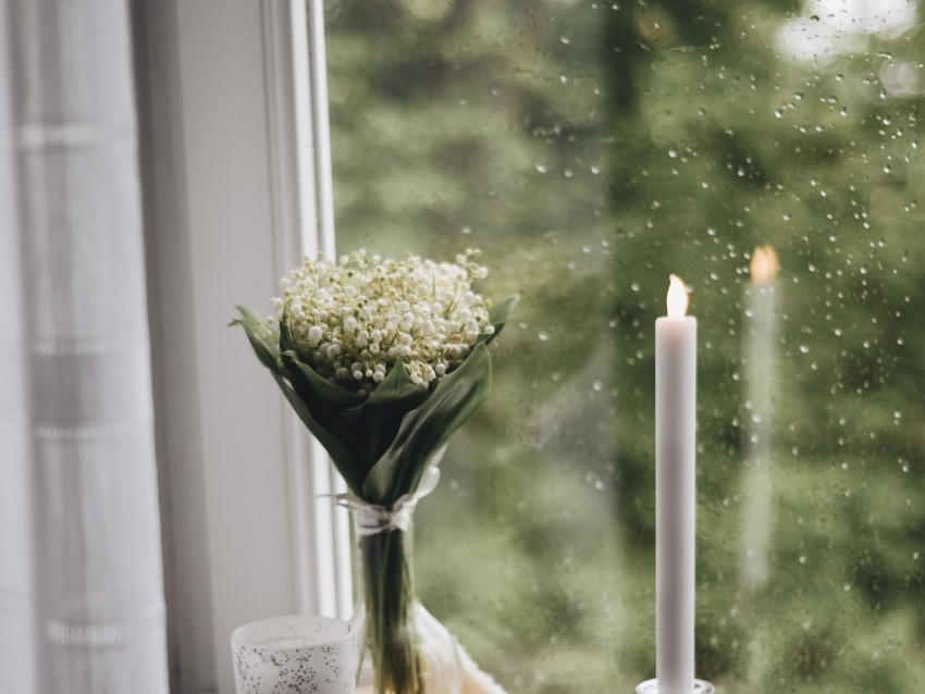 candle window bouquet rain books plaid cup Isolated Subject on HighQuality Transparent PNG 4k wallpaper