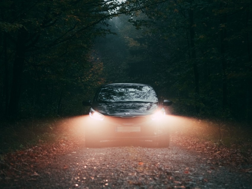 car fog lights forest Transparent PNG Isolated Object with Detail