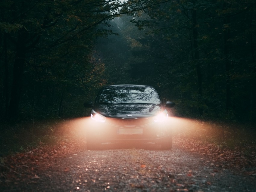 car fog lights forest Transparent PNG Isolated Object with Detail 4k wallpaper