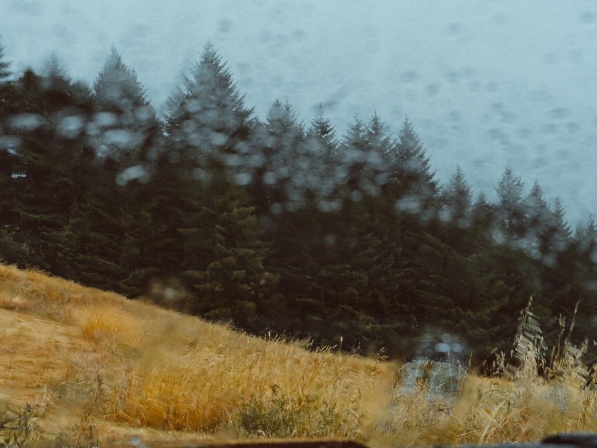 car forest view glass rain Clear Background Isolated PNG Object