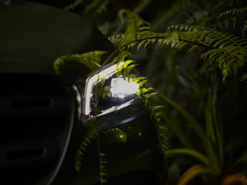 car headlight fern light night Free PNG