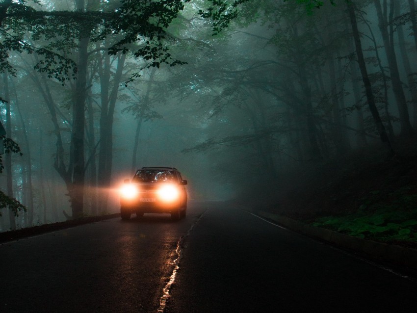 car headlights fog lights trees road PNG pictures with no backdrop needed