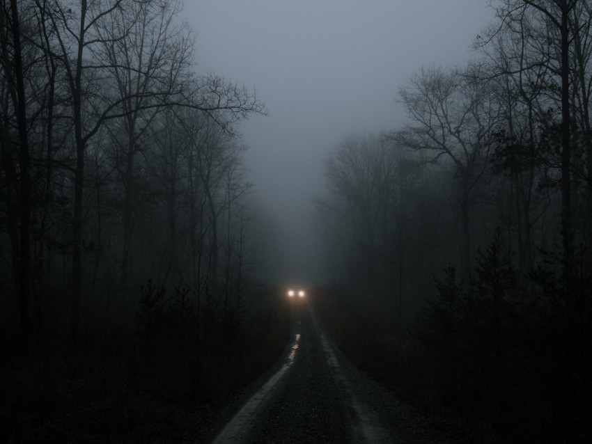 car lights fog trees road PNG with transparent background for free