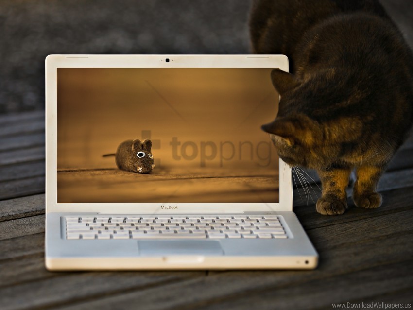 cat cat macbook mouse toy wallpaper PNG images with transparent layer
