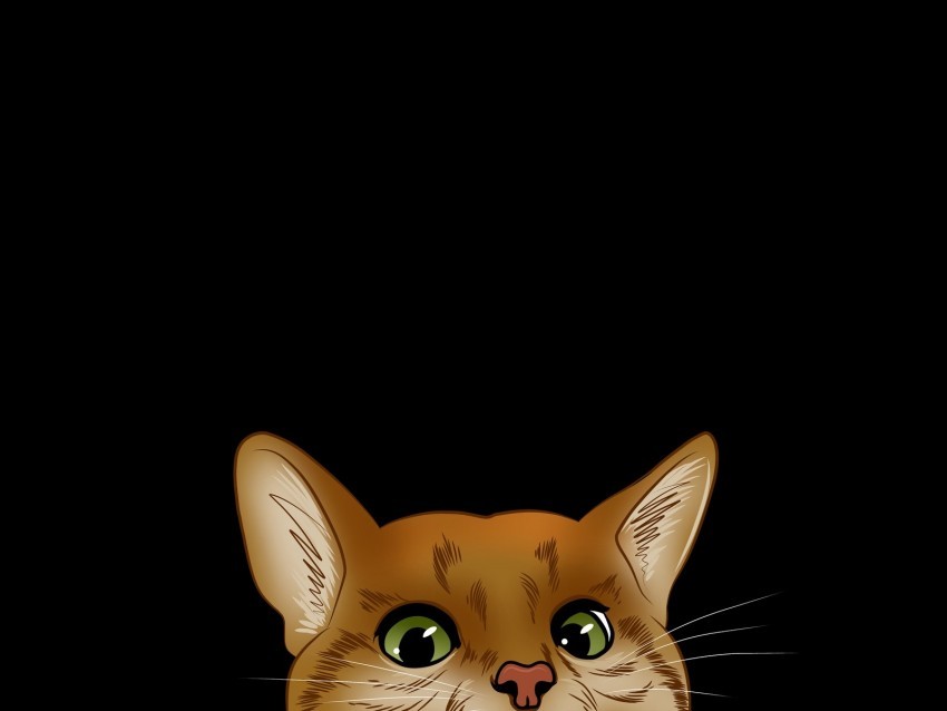 cat muzzle look out hide art PNG transparent pictures for editing