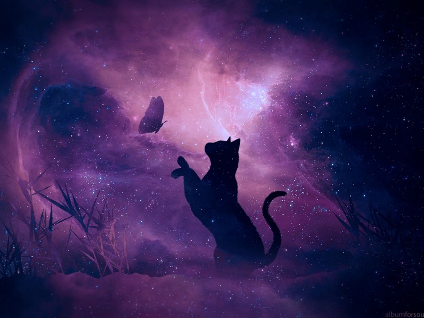 cat silhouette butterfly starry sky galaxy stars shine PNG graphics with clear alpha channel