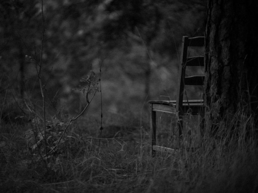 chair bw forest grass gloomy Transparent PNG Artwork with Isolated Subject 4k wallpaper