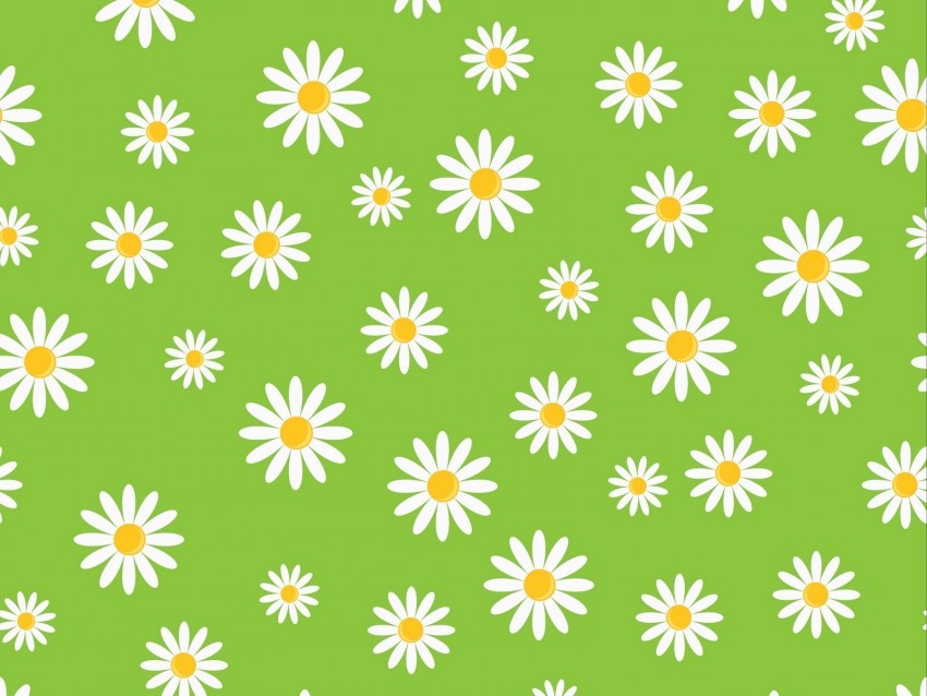 chamomile patterns texture art green PNG photo with transparency 4k wallpaper