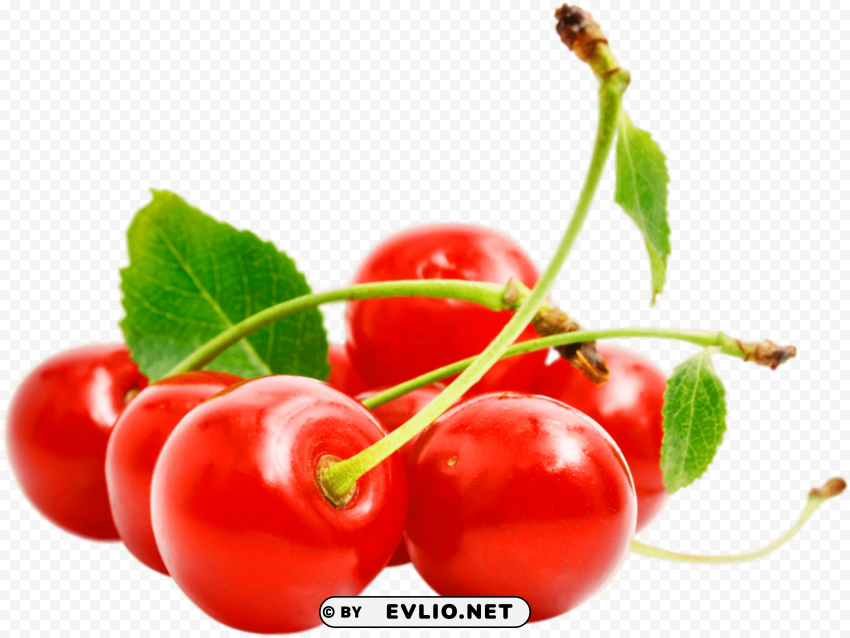 cherries Transparent PNG illustrations PNG images with transparent backgrounds - Image ID dc02530c