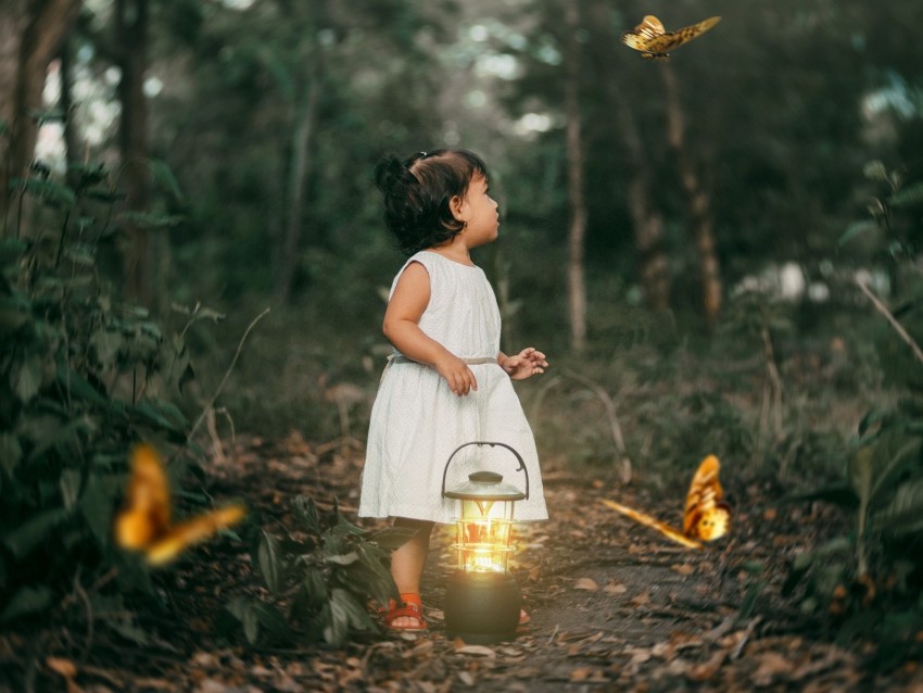 child butterflies lantern forest path PNG images with alpha channel selection 4k wallpaper