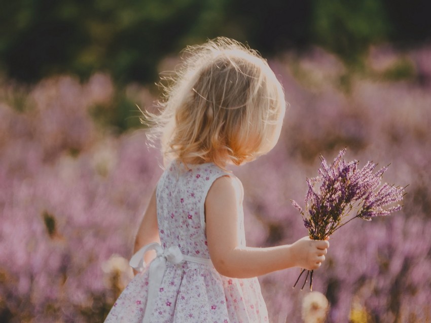 child flowers lavender bouquet field Free PNG images with alpha transparency compilation 4k wallpaper