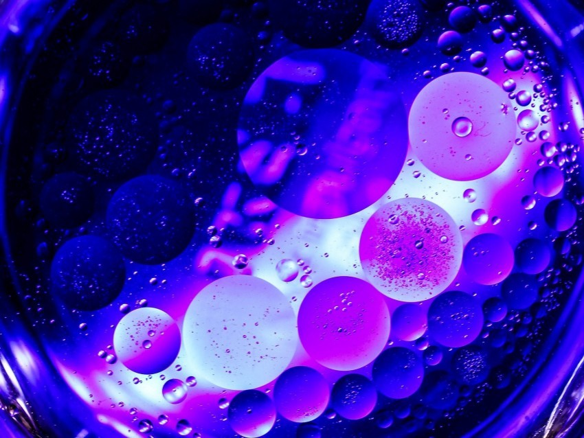 circles bubbles purple macro PNG transparency images