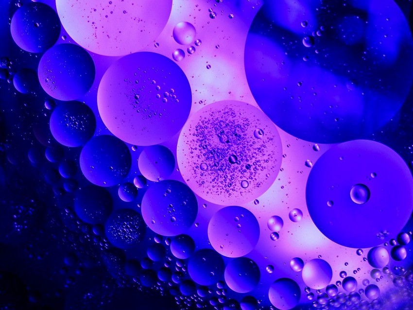 circles bubbles purple macro shape dark PNG Graphic with Isolated Design 4k wallpaper