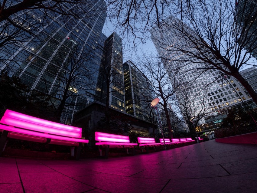 city benches neon trees buildings lights Isolated Element in HighResolution Transparent PNG