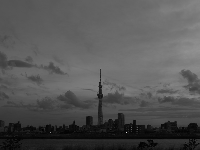 city buildings bw tower architecture river panorama PNG Isolated Illustration with Clear Background