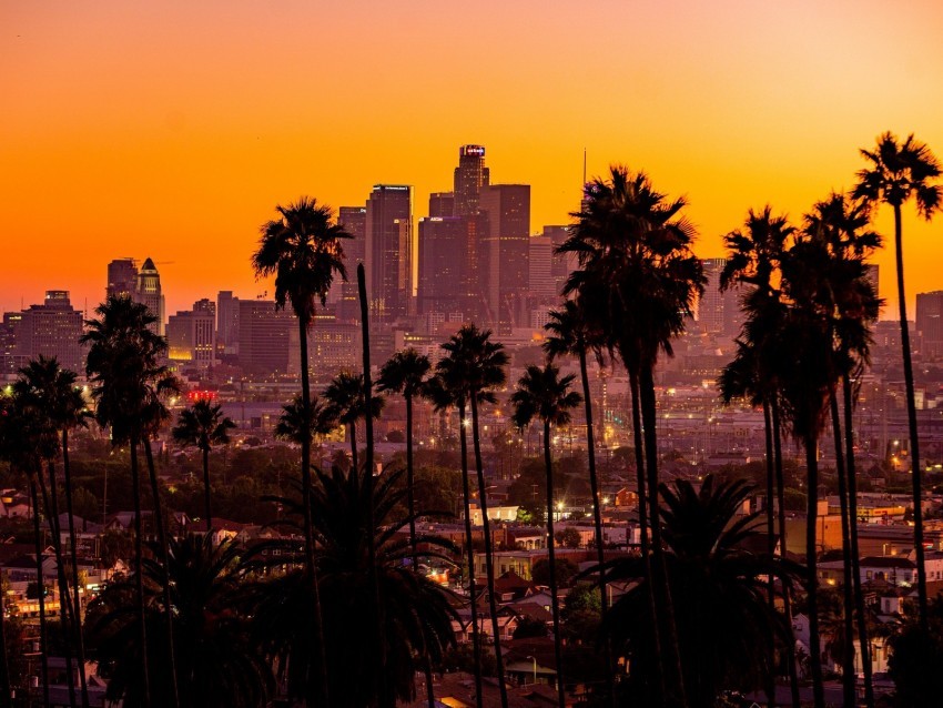 city palm trees sunset buildings skyscrapers los angeles Isolated Icon on Transparent PNG