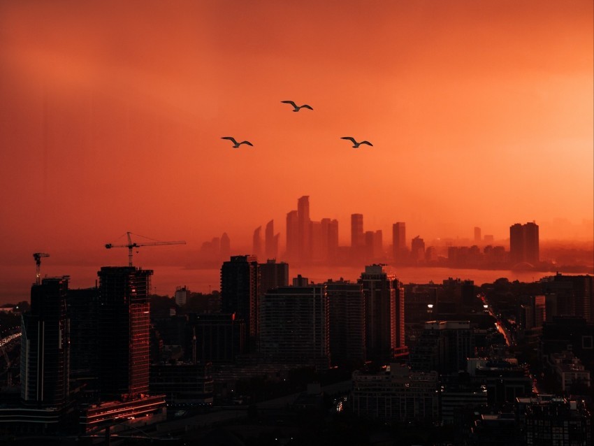 city sunset aerial view dusk buildings birds PNG graphics