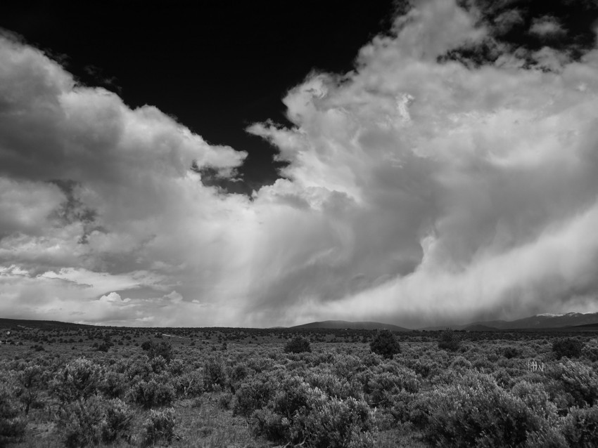 clouds landscape bw bushes trees hills PNG no watermark