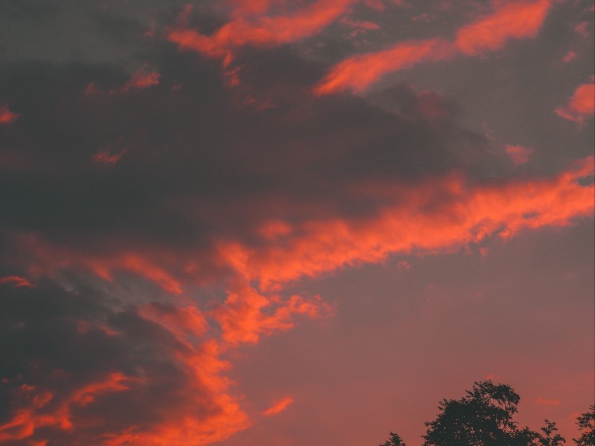 clouds tree sky sunset orange High-resolution PNG