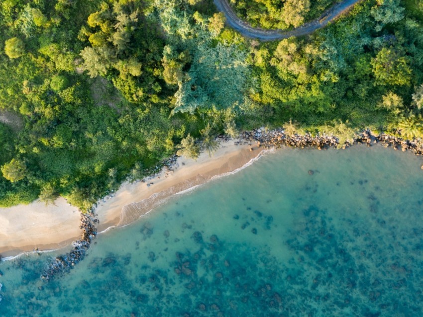 coast beach aerial view sea trees vegetation PNG images with alpha transparency layer