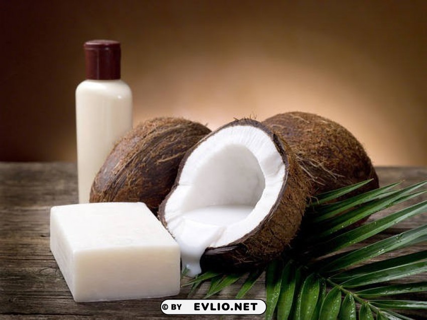 coconut soap and lotion Isolated Icon with Clear Background PNG
