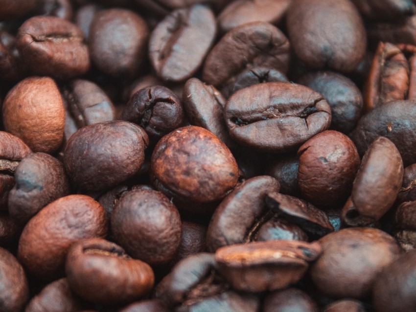 coffee beans coffee roasted macro PNG transparent elements compilation
