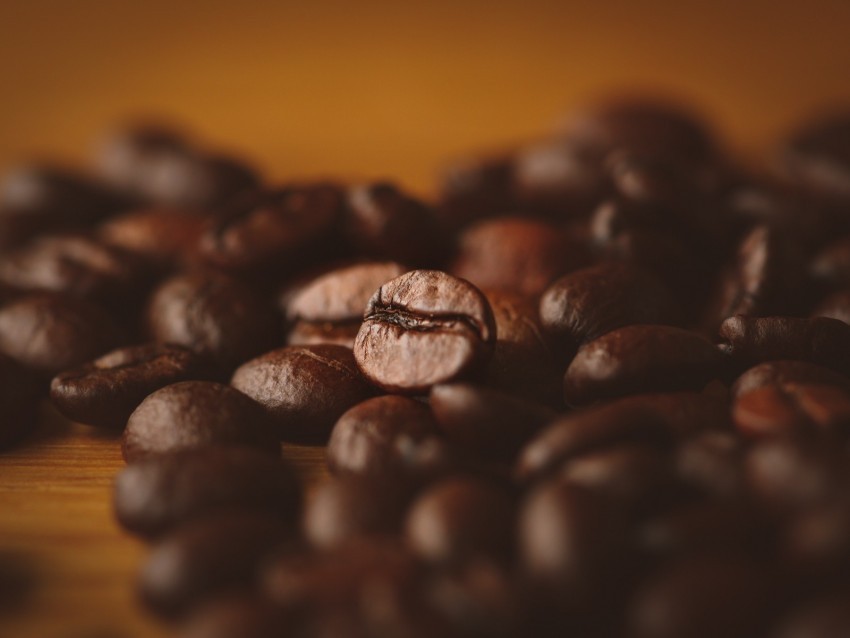 coffee coffee beans macro blur Transparent Background Isolation in PNG Format