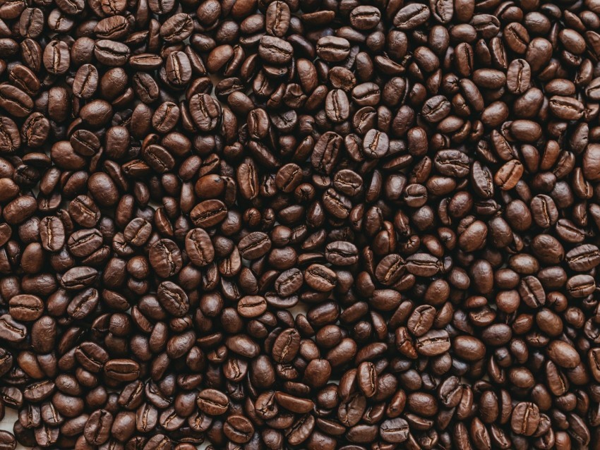 coffee coffee beans roasted brown dark Transparent image 4k wallpaper