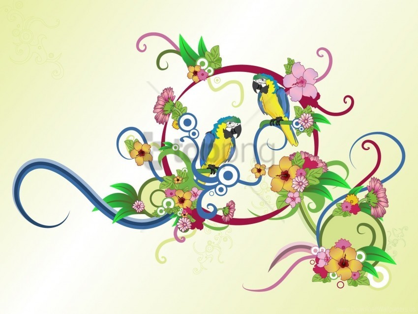 colorful colors parrots patterns wallpaper Isolated Subject in Transparent PNG